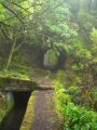 Madeira0857.JPG